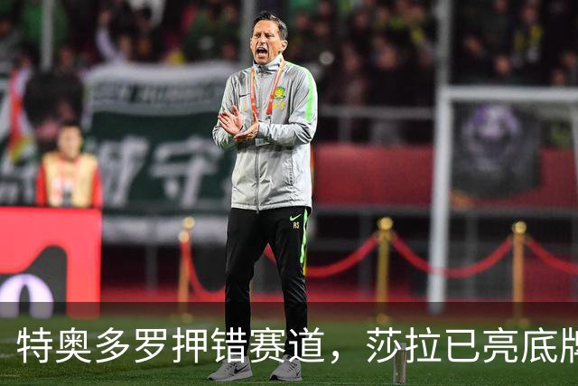特奥多罗押错赛道，莎拉已亮底牌，2028年或第一个清算他